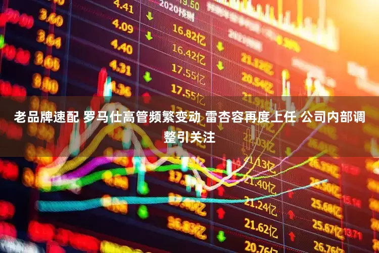 老品牌速配 罗马仕高管频繁变动 雷杏容再度上任 公司内部调整引关注