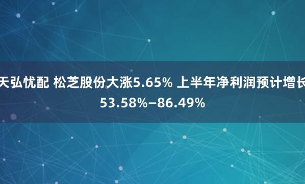 天弘忧配 松芝股份大涨5.65% 上半年净利润预计增长53.58%—86.49%