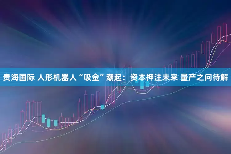 贵海国际 人形机器人“吸金”潮起：资本押注未来 量产之问待解
