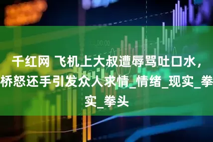 千红网 飞机上大叔遭辱骂吐口水，廊桥怒还手引发众人求情_情绪_现实_拳头