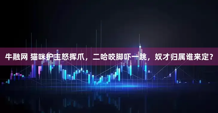 牛融网 猫咪护主怒挥爪，二哈咬脚吓一跳，奴才归属谁来定？