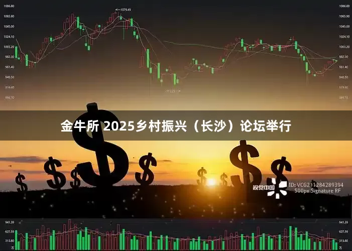 金牛所 2025乡村振兴（长沙）论坛举行