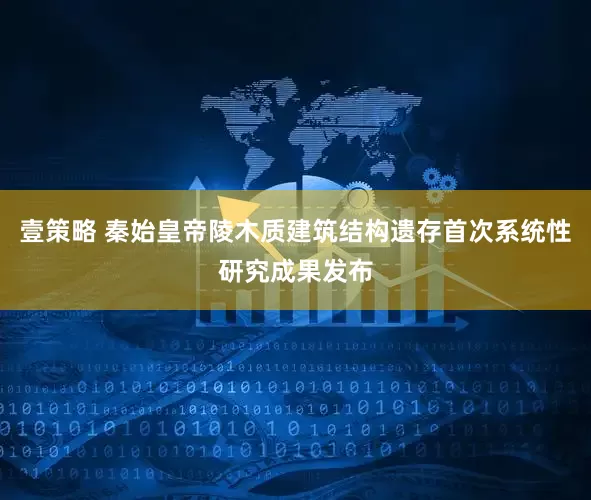 壹策略 秦始皇帝陵木质建筑结构遗存首次系统性研究成果发布